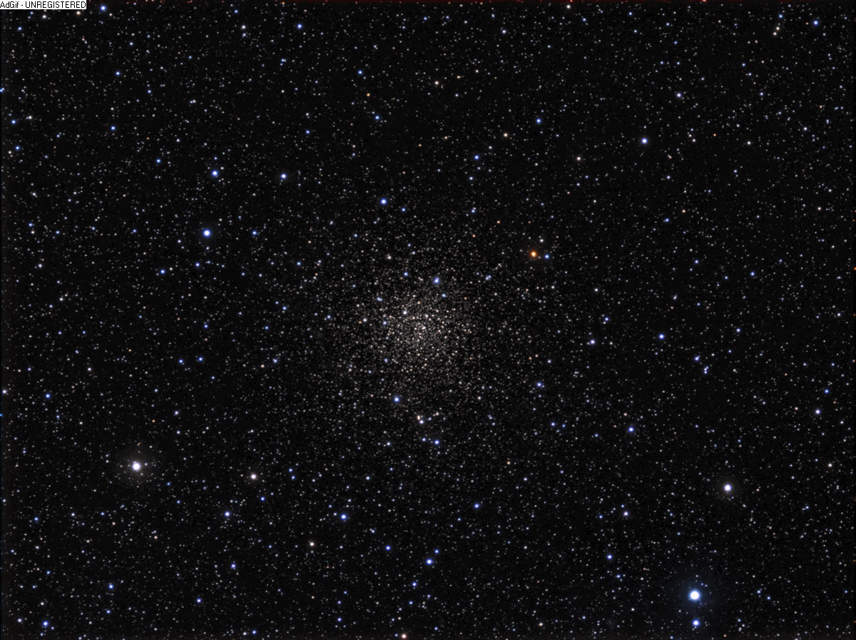 cygnus